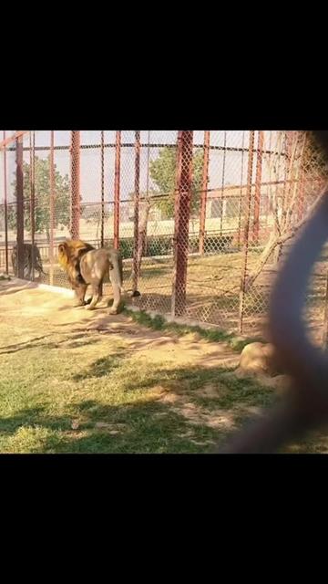 @oso