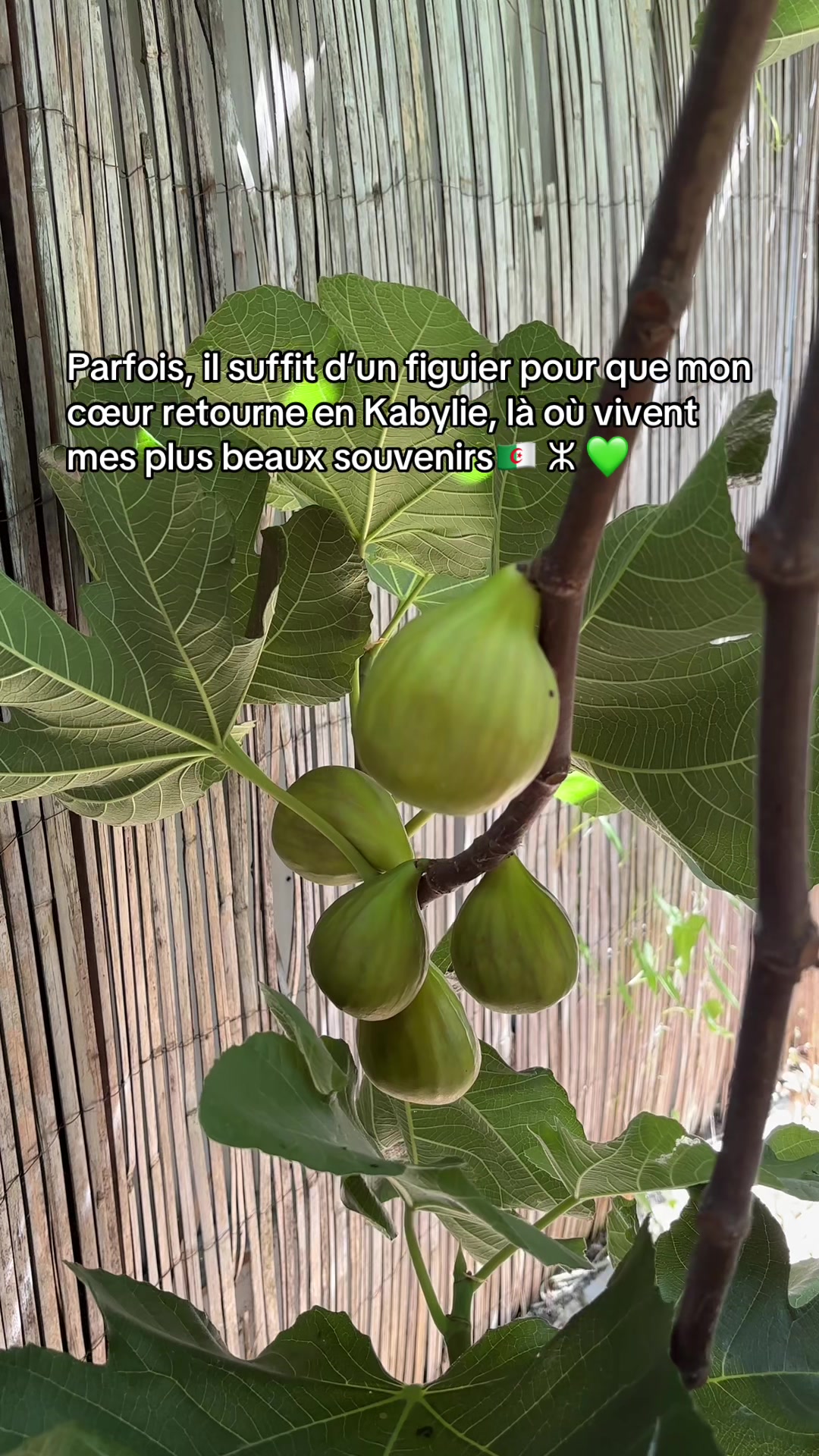@Anyessaichi