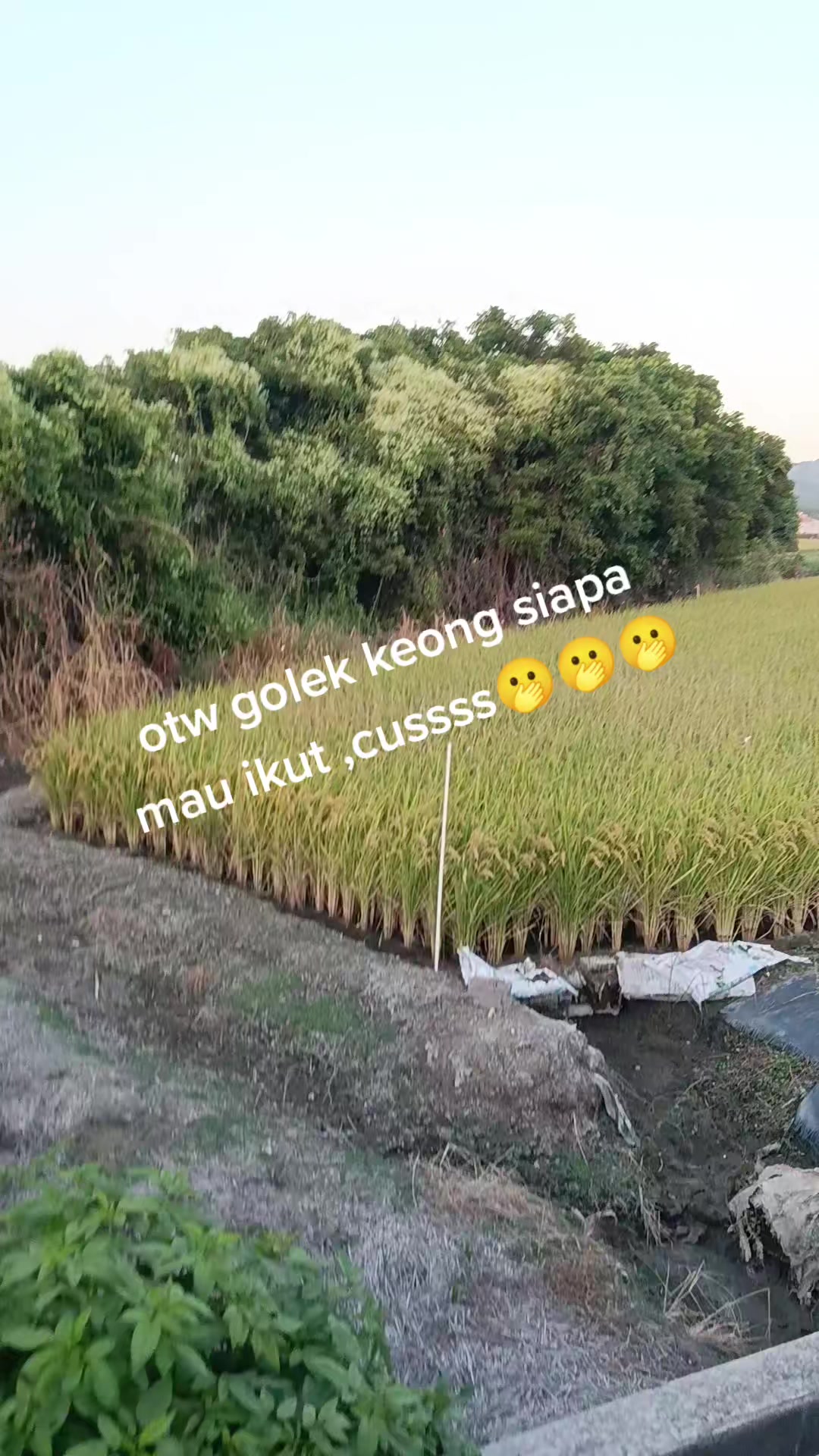 @jilda