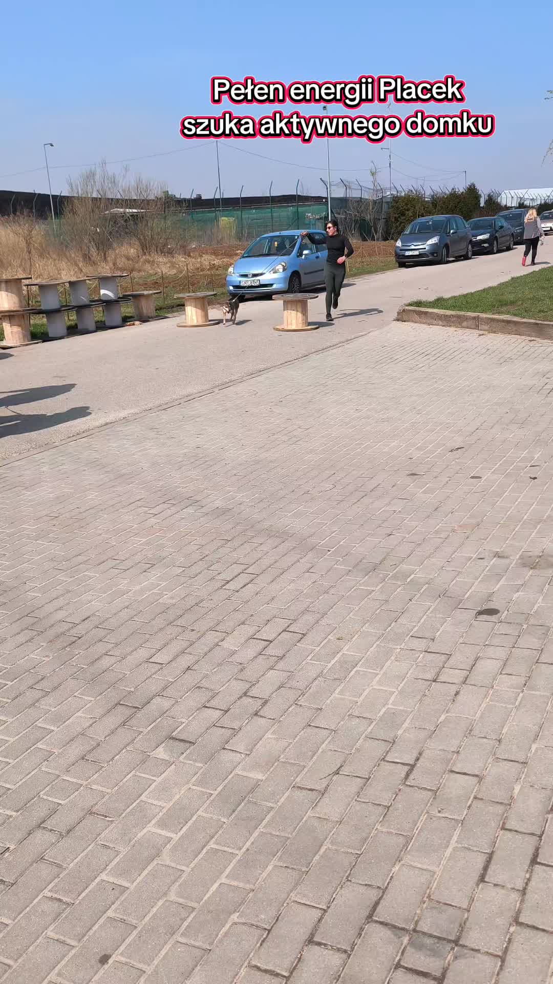 @Bezdomniaki_ze_śląska