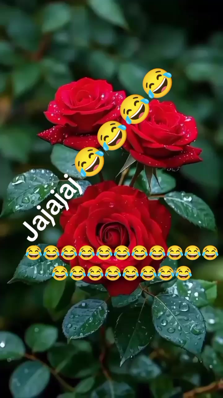 @maribe.galisia