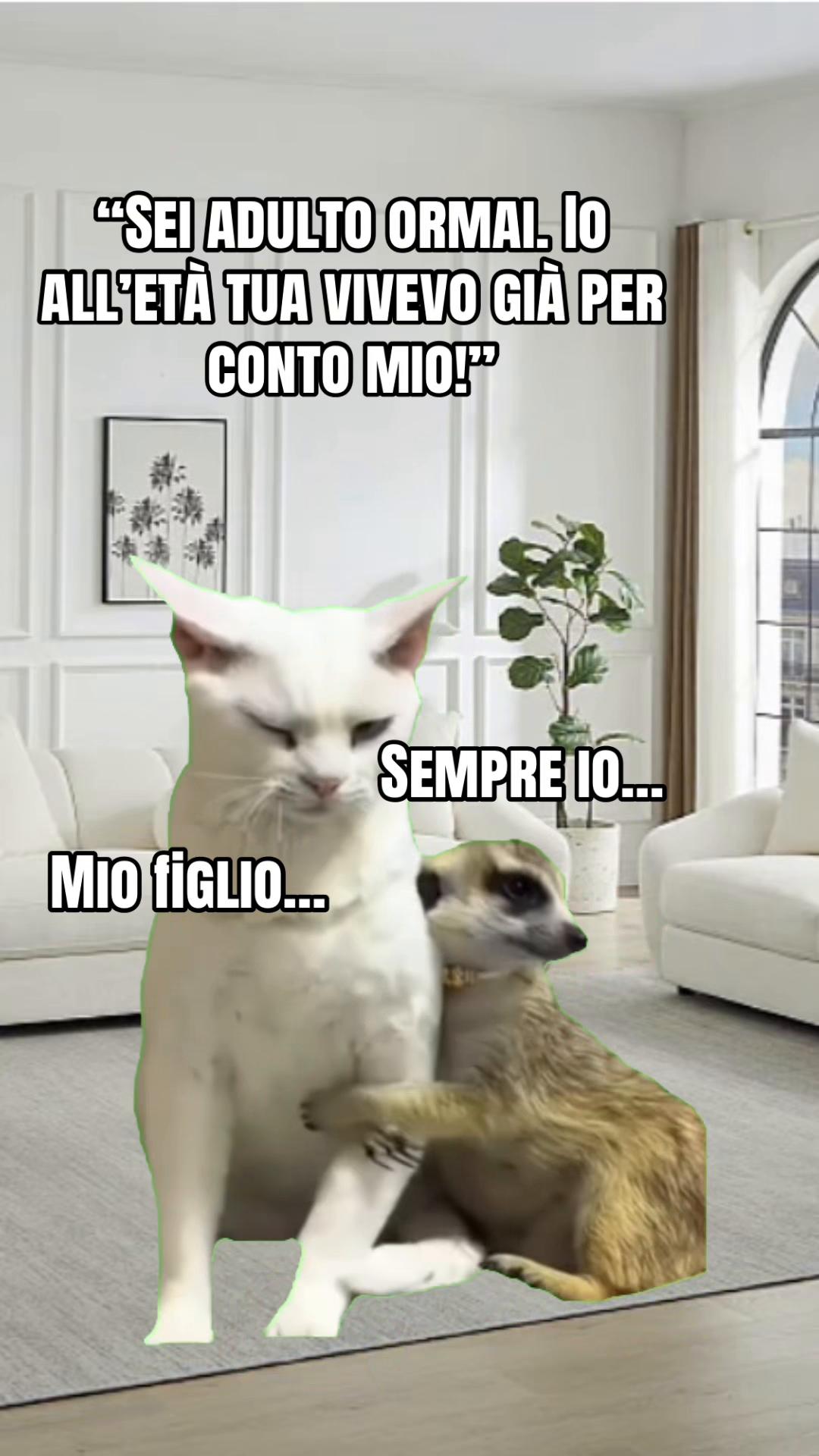 @Natascia Laura