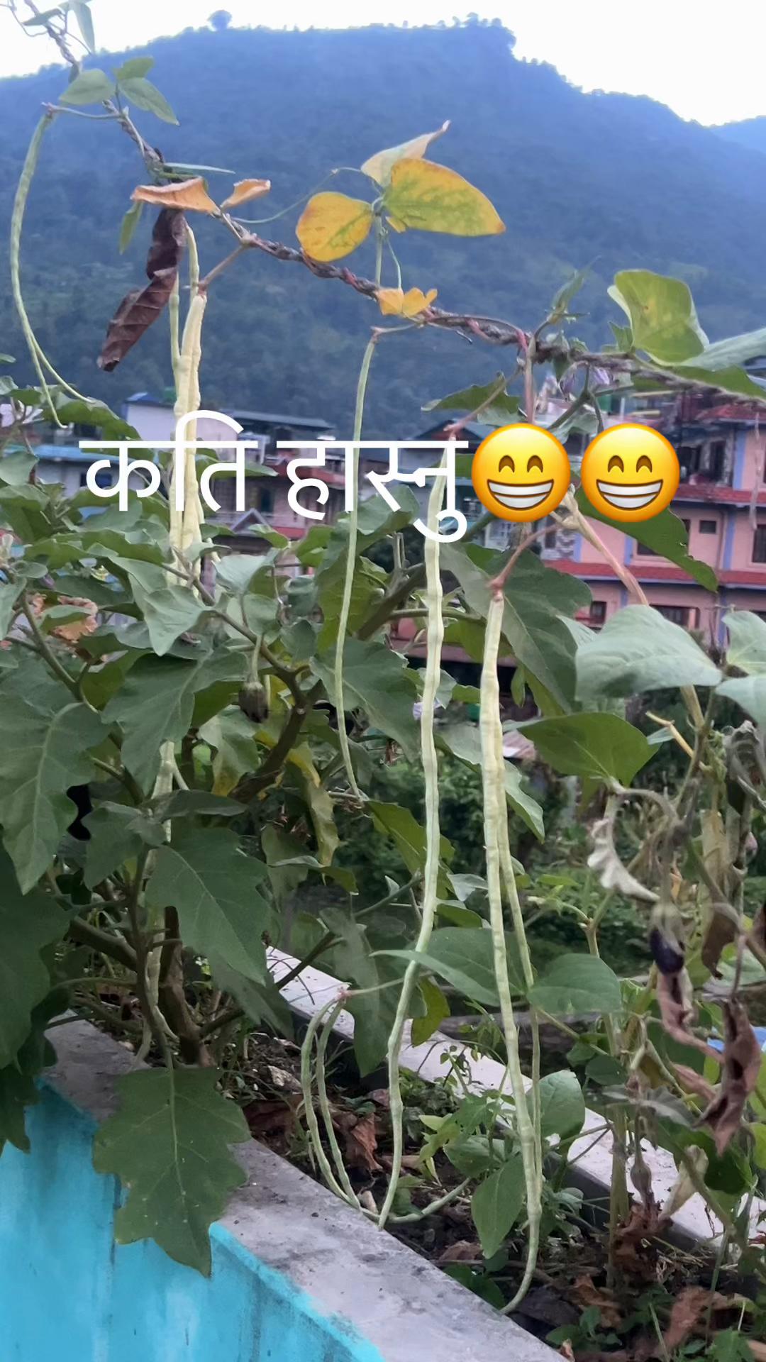@Durga Rawat Thapa🦋🦋