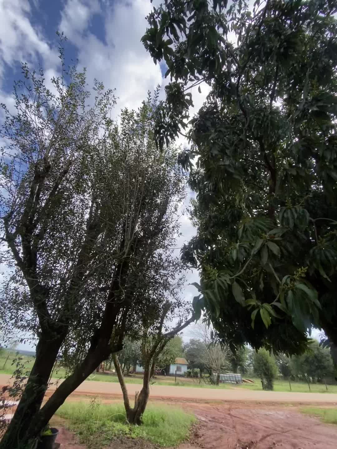 @Josewxz_ 🦅