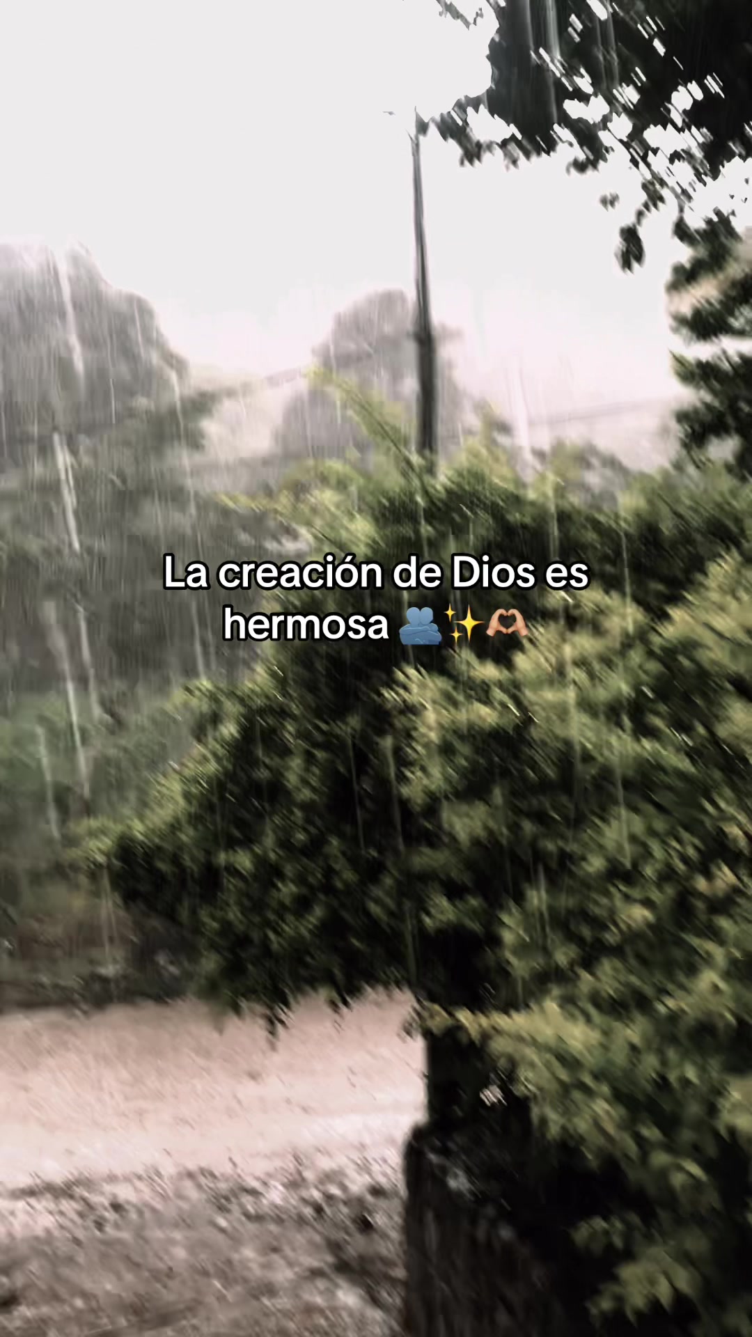 @Robinson✝️✨👑 Jesús ✝️✨