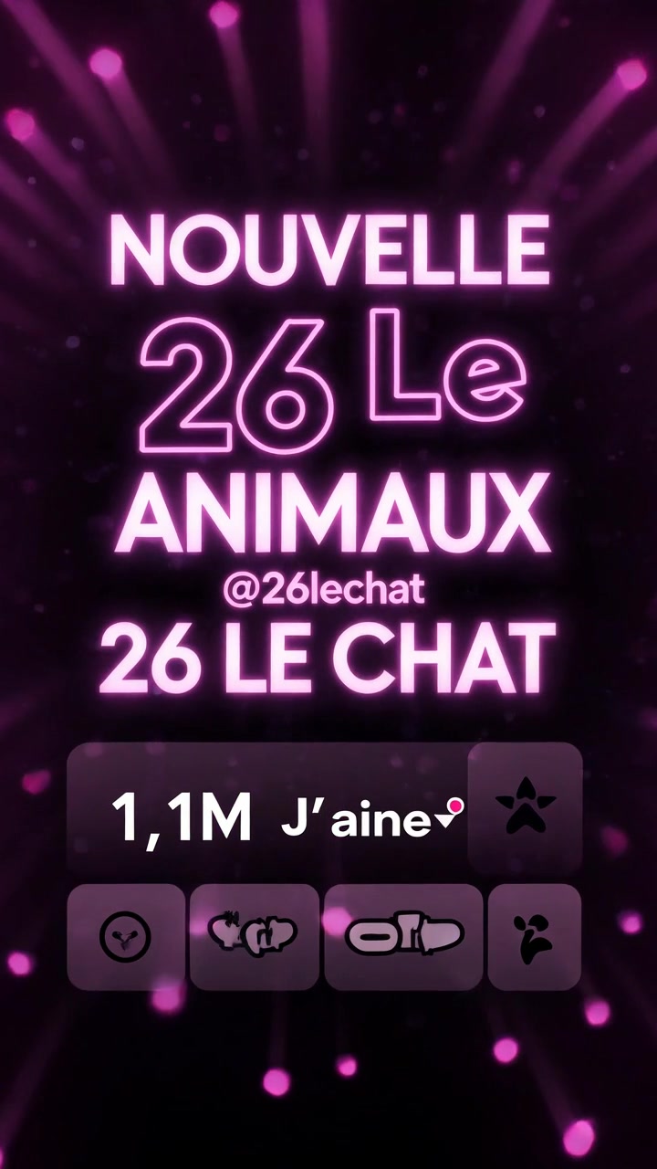 @26 Le Chat