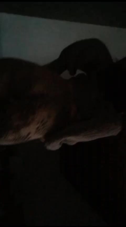 @user27492247892
