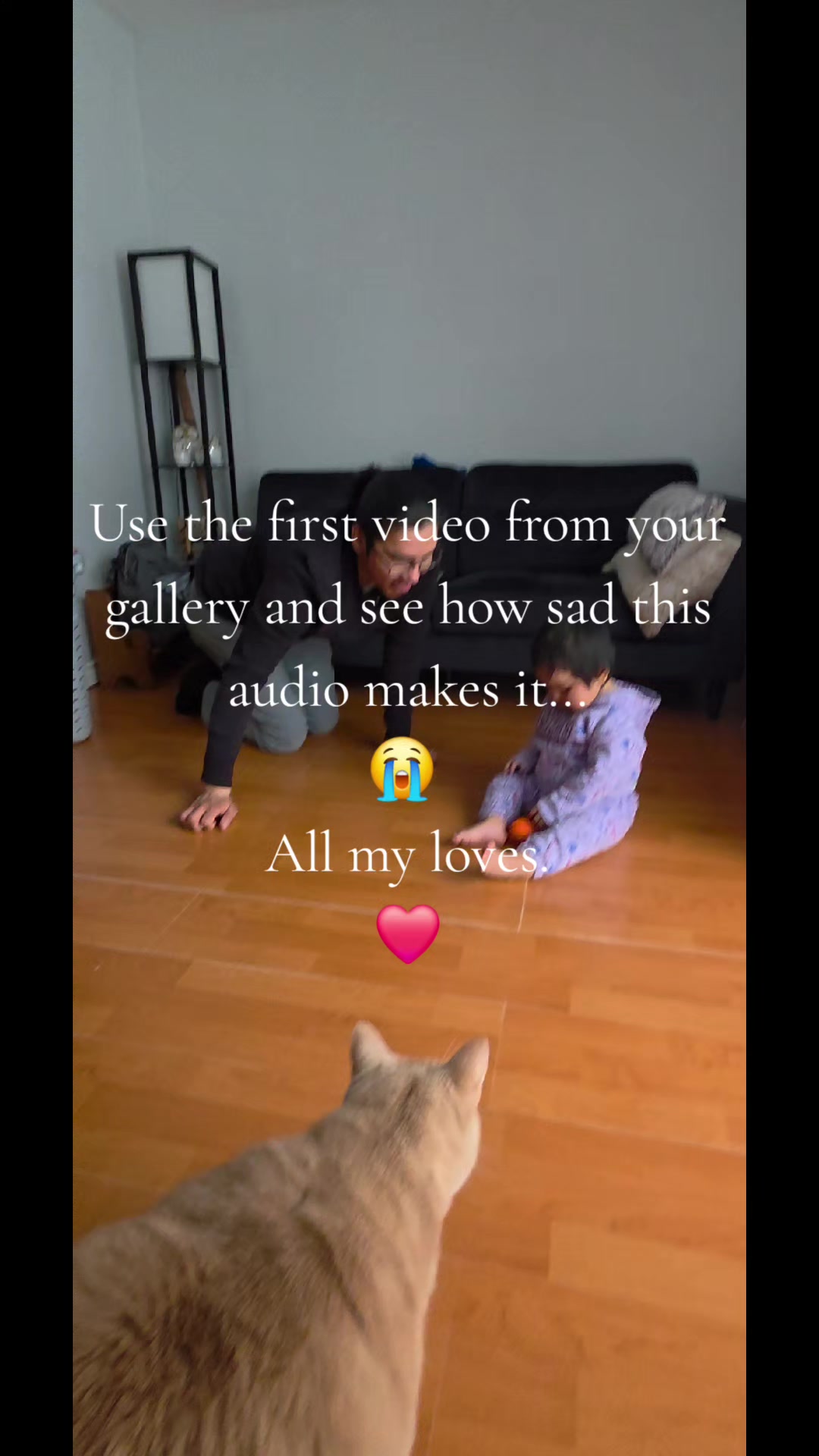 @Seidre