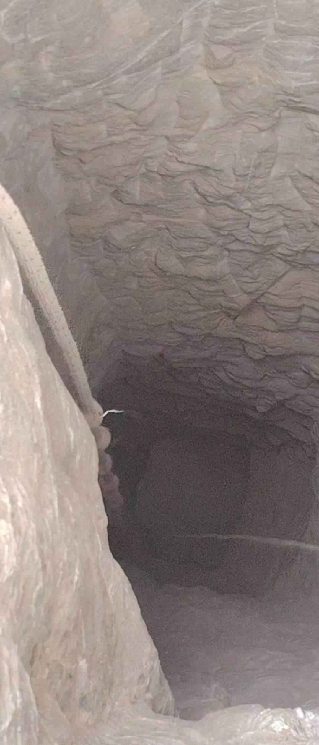 @وليد الساحل