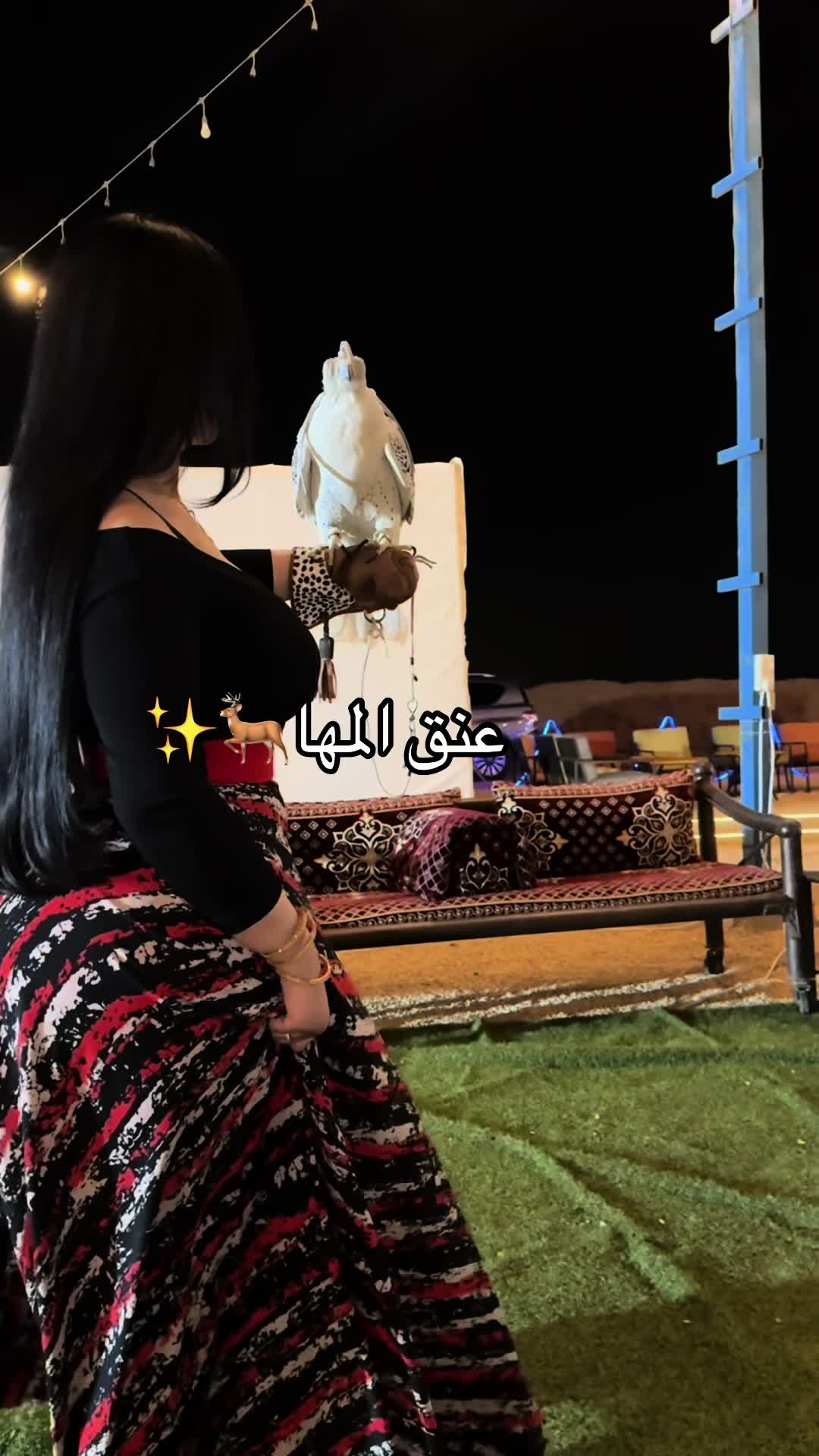 @المصممه عنق المها🦌