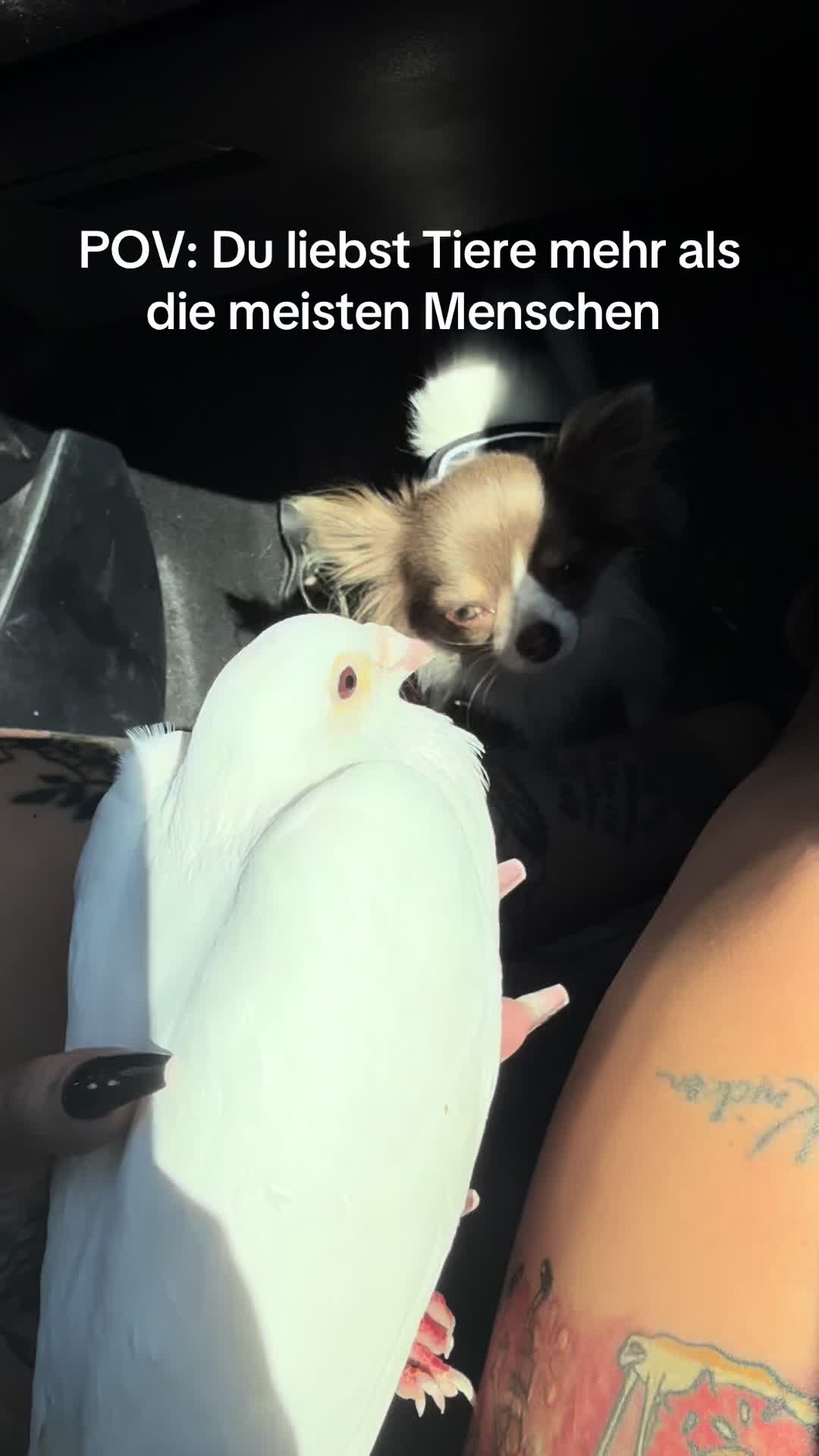 @mystinyx_ink