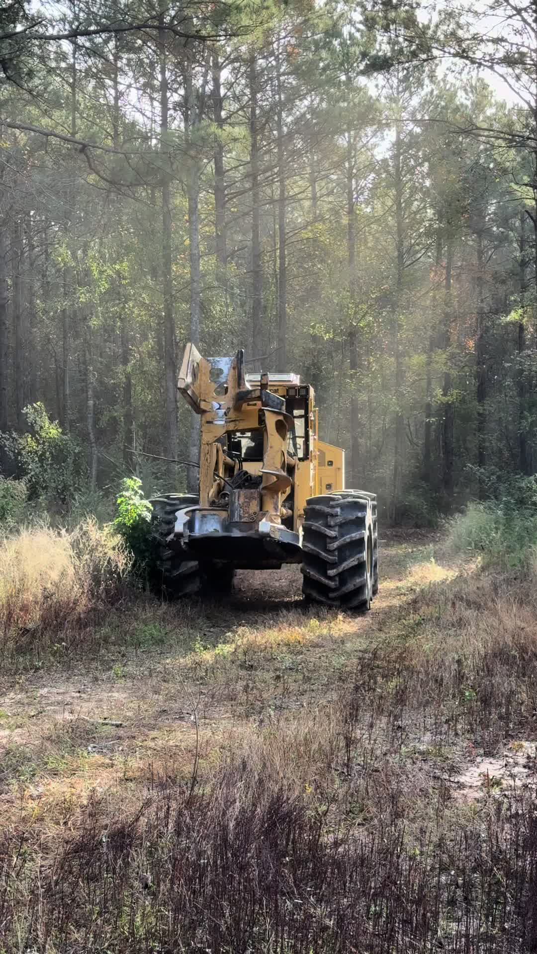 @Superior Forestry Solutions