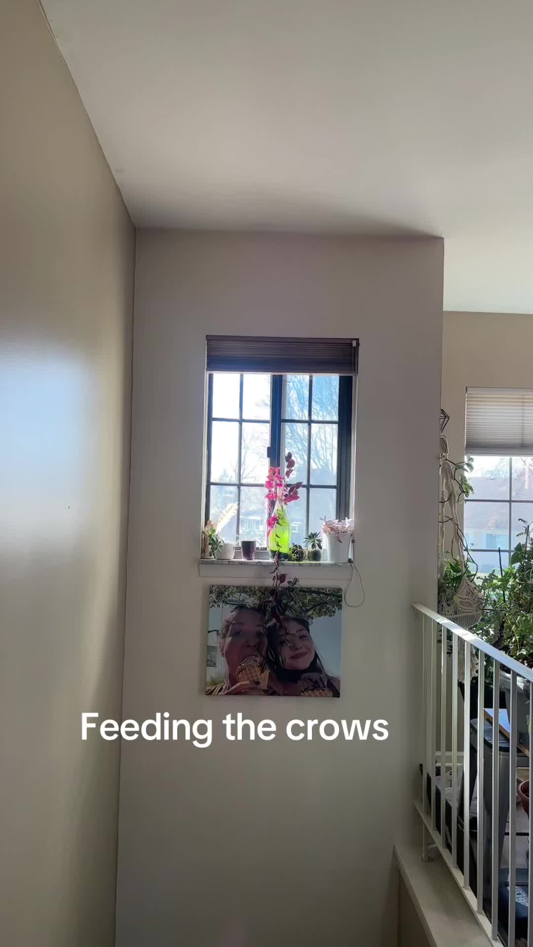 @Sherrykhopkins