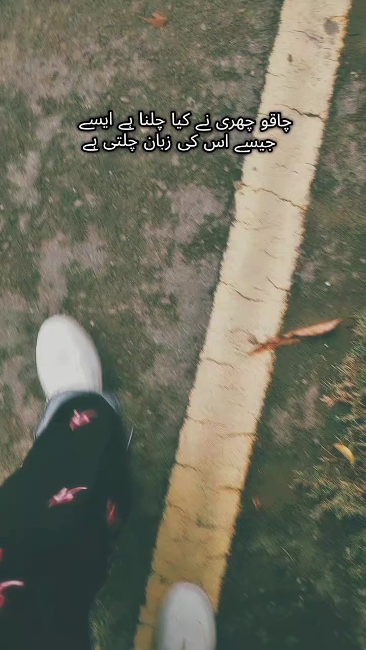 @🐾