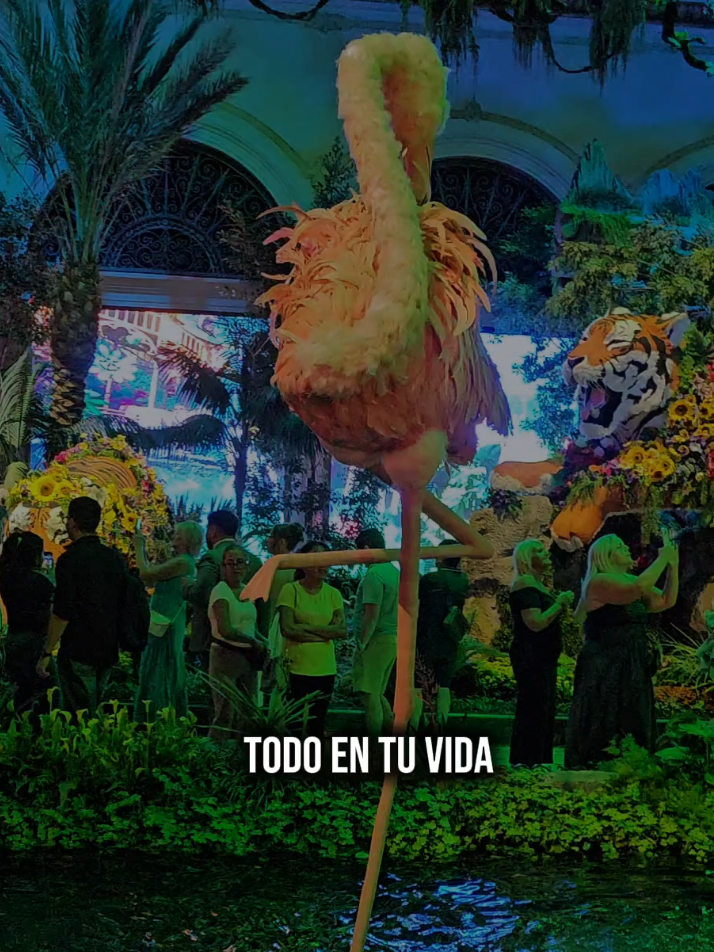 @🦋Dani🦋