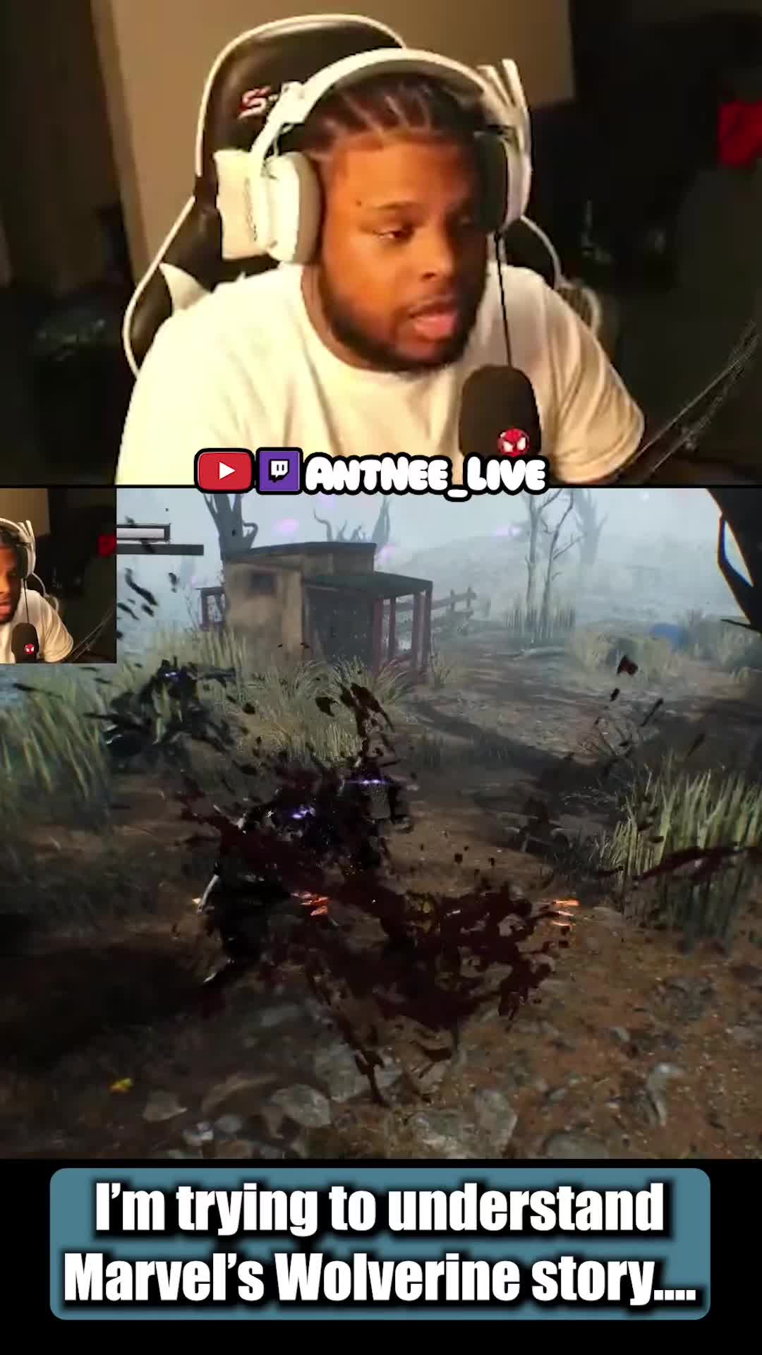 @AntNee Live