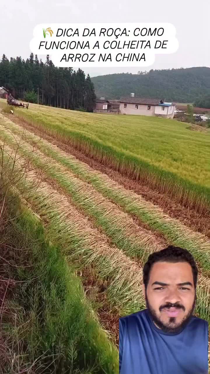 @Obrasilense