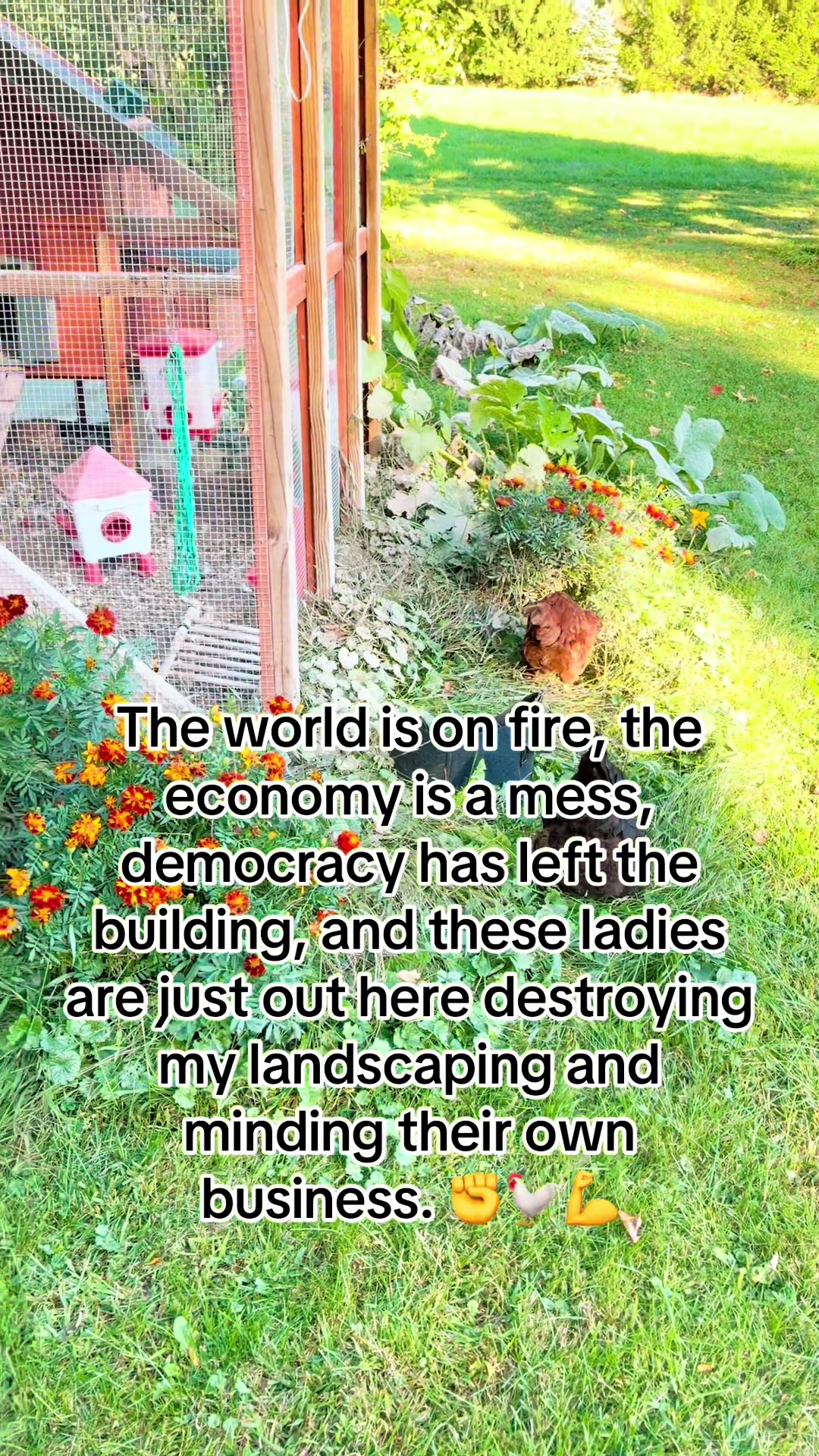 @Resistance Homesteaders