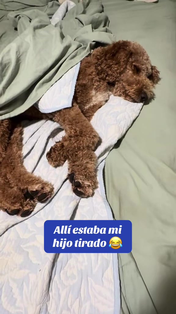 @Reyna y Churro 🐶😍