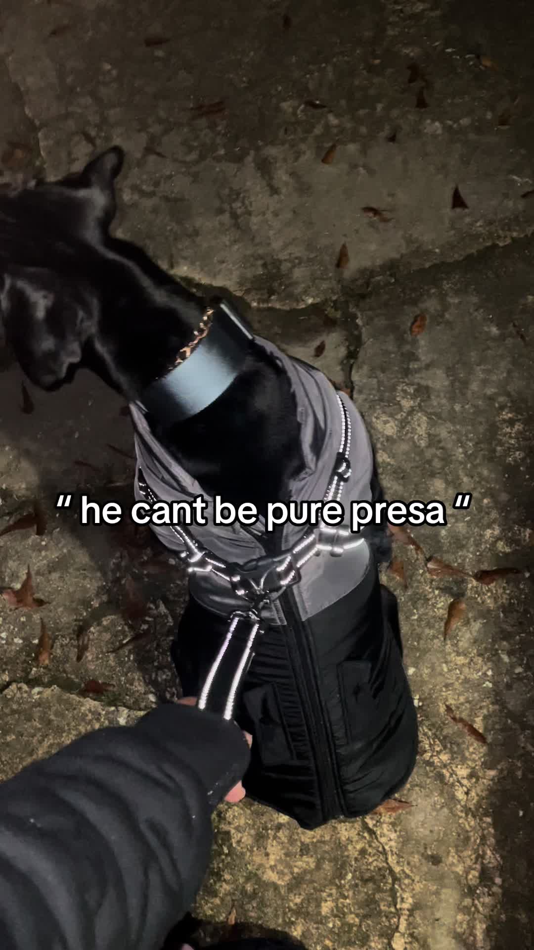 @DaibloThePresa