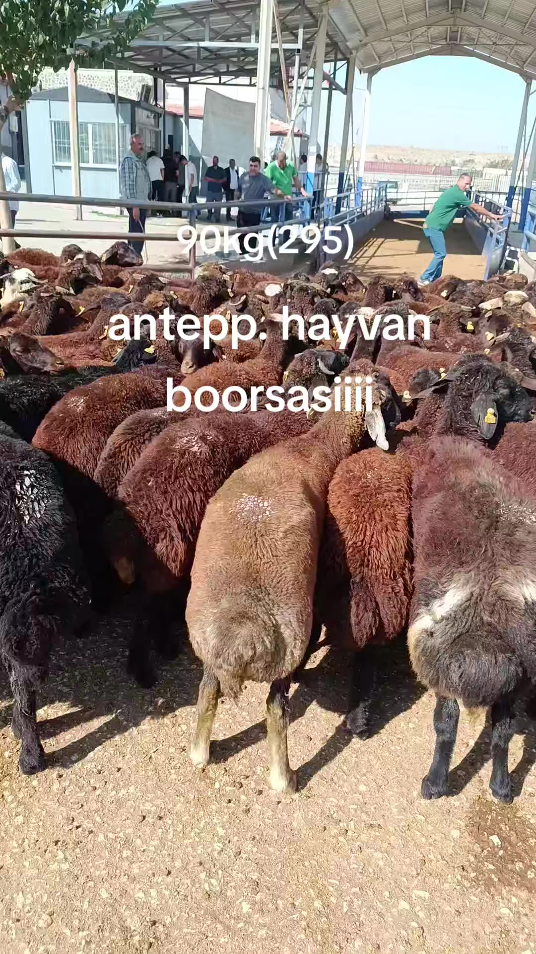 @eyyüp. beki. 🥀🥀🥀🥀
