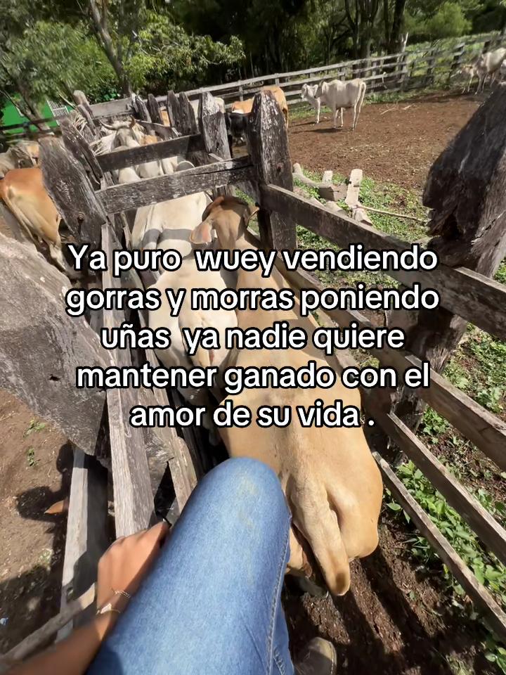 @Liss! 🤠