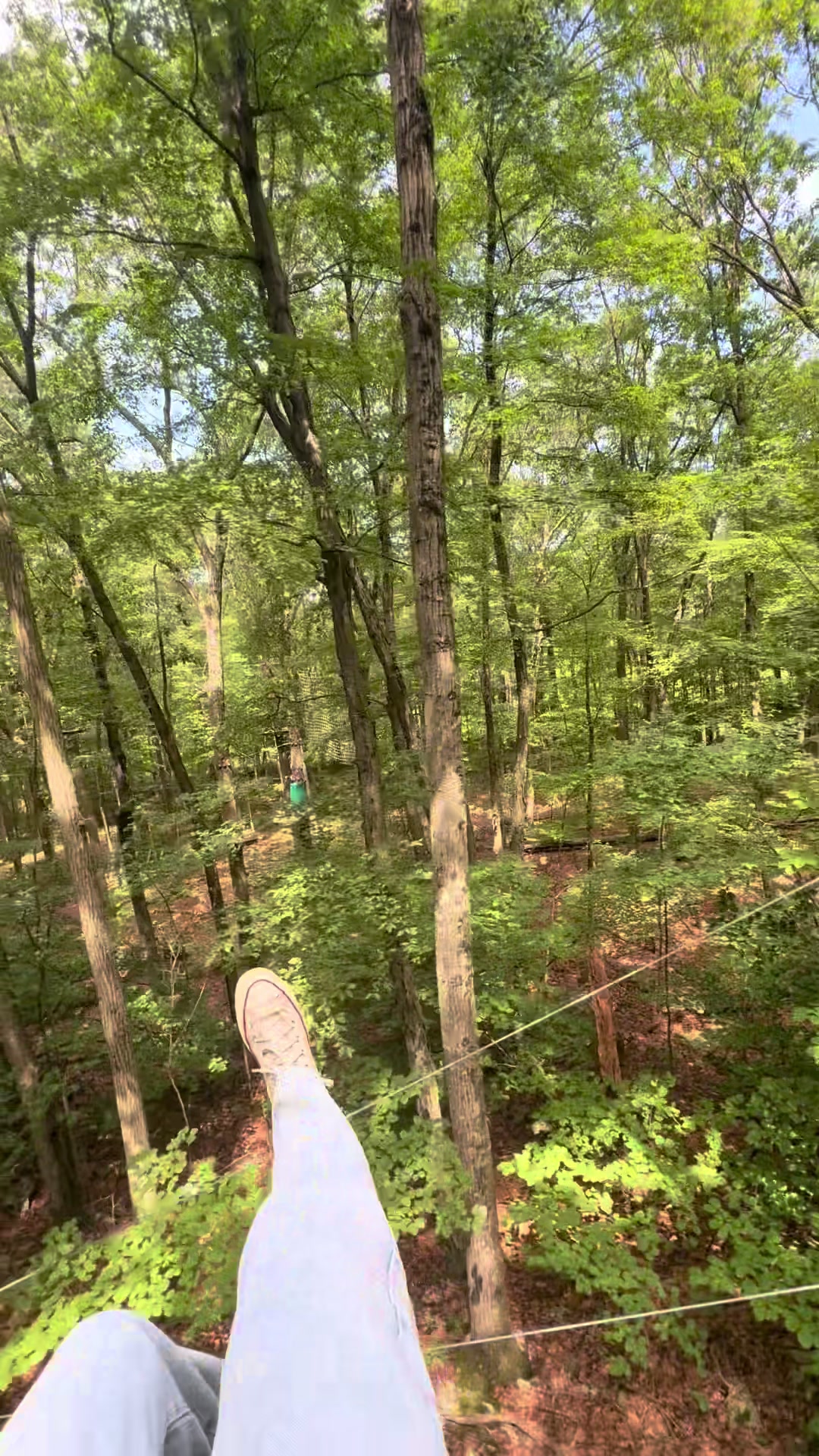 @flgxNJ