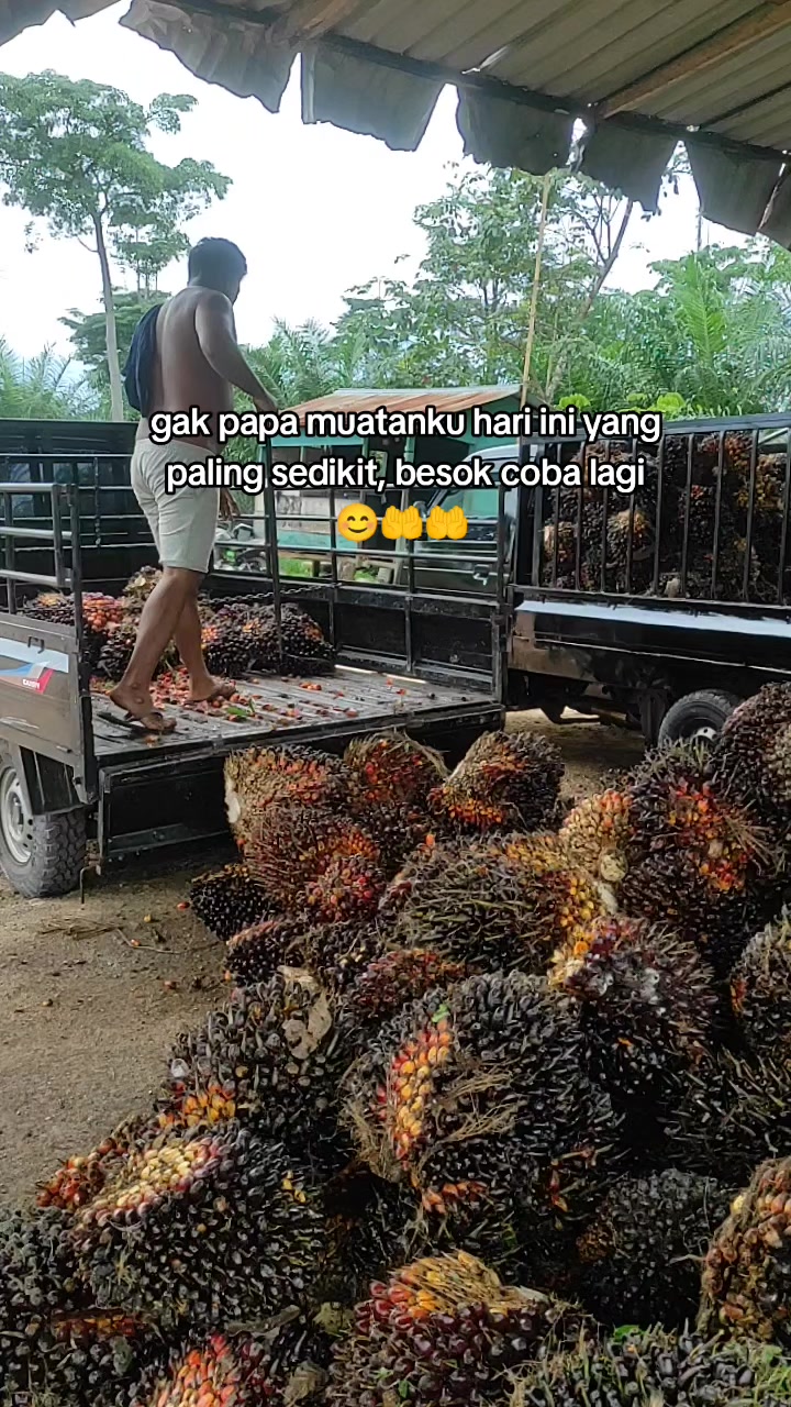 @Rinto Simarmata