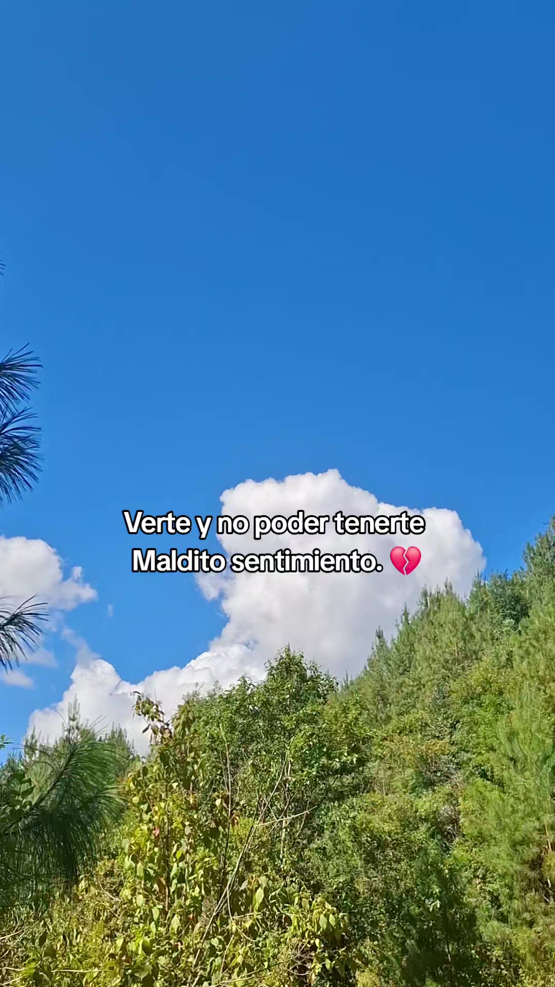 @🥷Jos&eacute; Angel 🥷❤️&zwj;🩹🥀