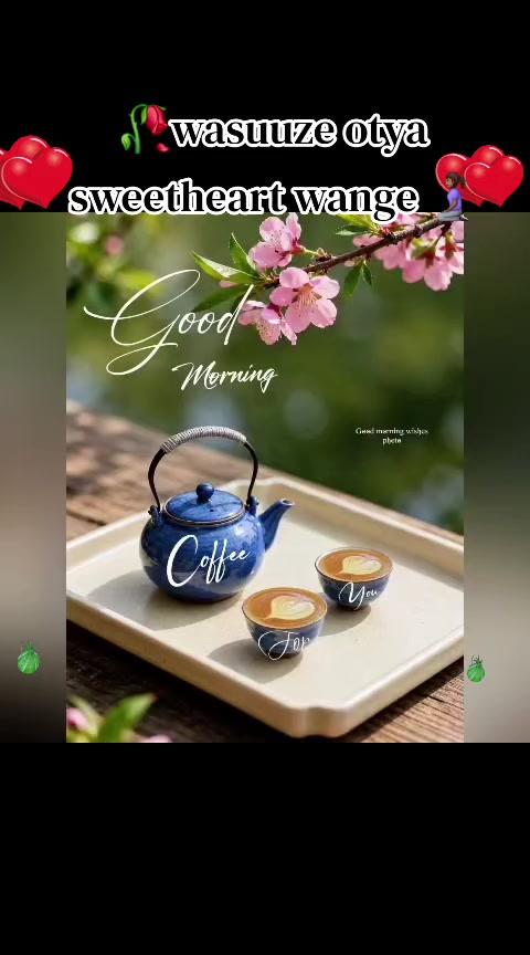 @@🥀MA.LA.I.KA❤️🦋256