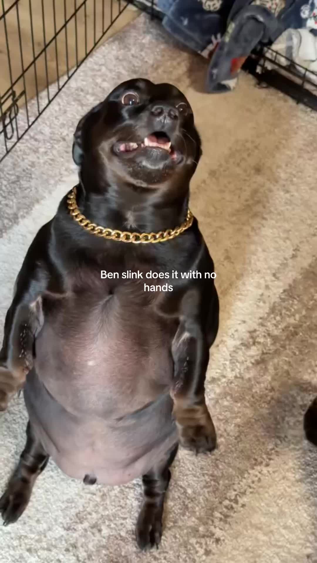 @BenSlinkdawg