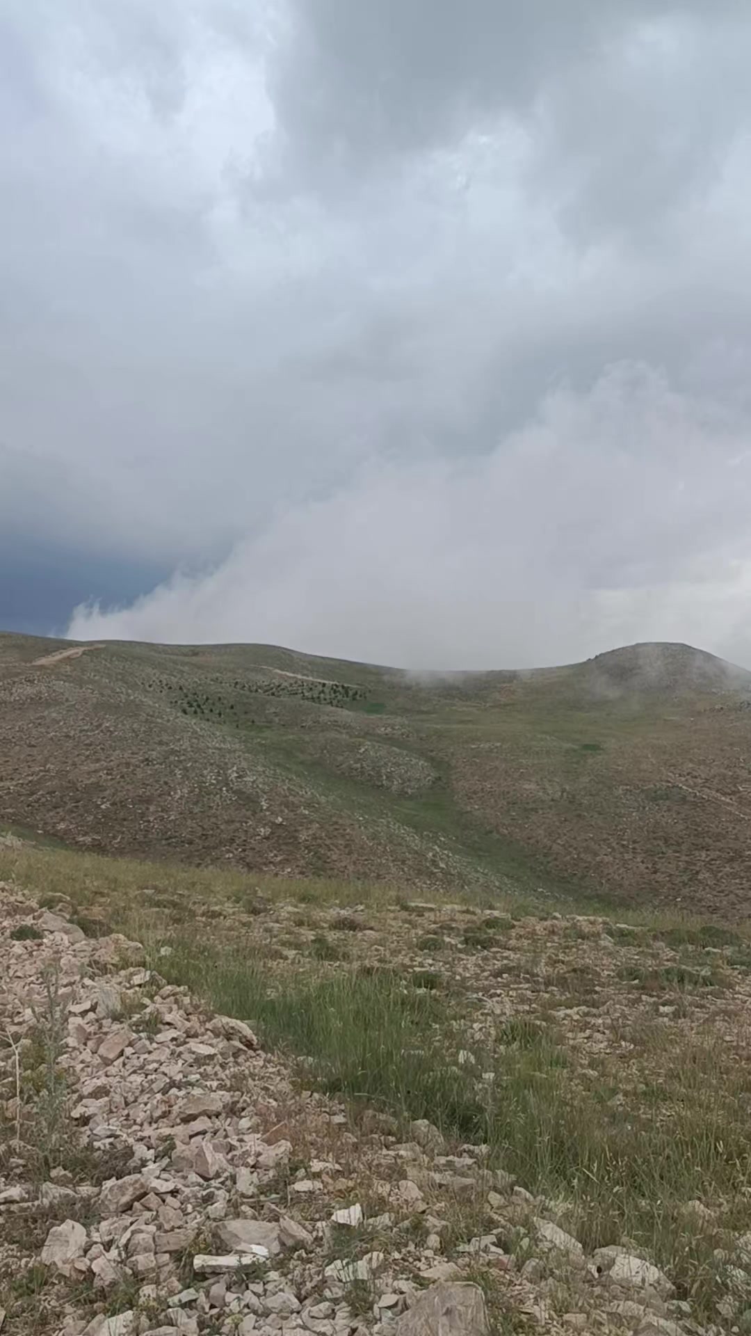 @Nazif Geriş