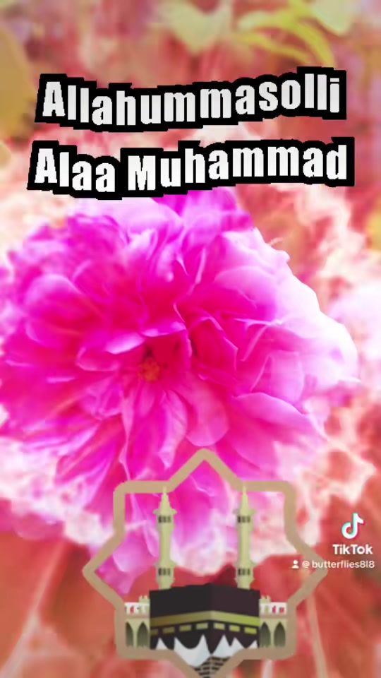 @786ami786