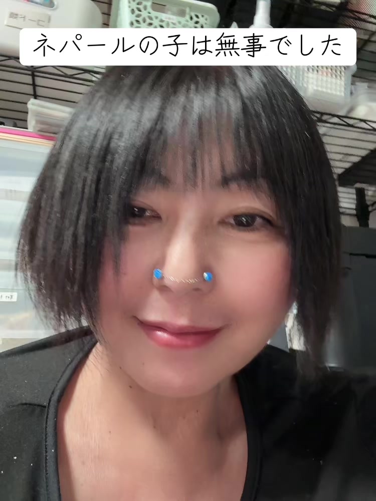 @石田志芳(wikipedia参照)