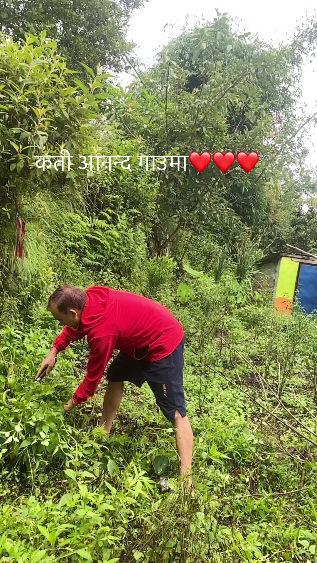@Rashmi Gautam