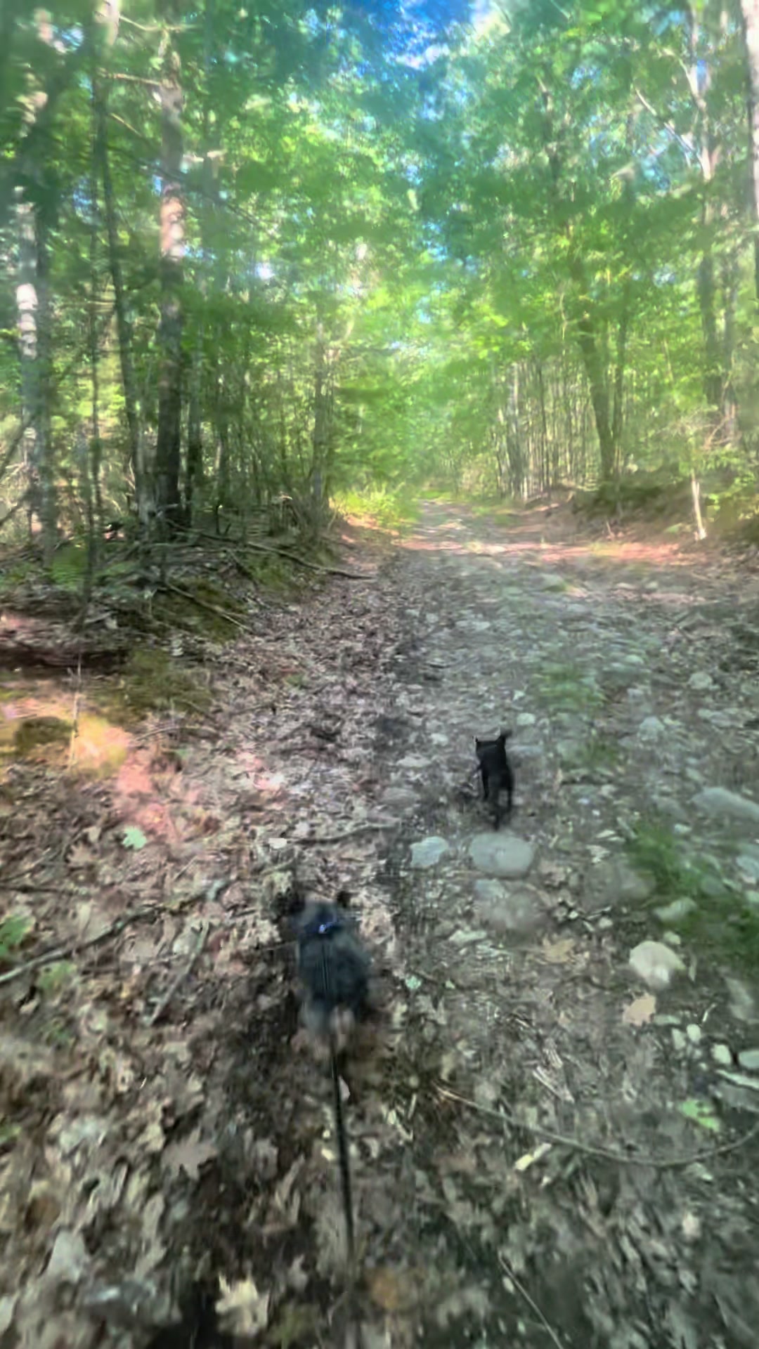@💙The Sober Wanderer💙⛰️🥾🏕️