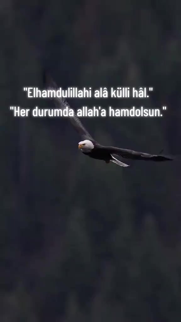 @🇹🇷🇹🇷RECEP CEVİZ🇹🇷🇹🇷