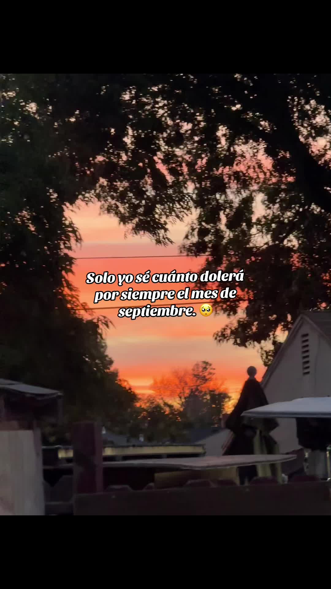 @MeyRodas07🫧🦋