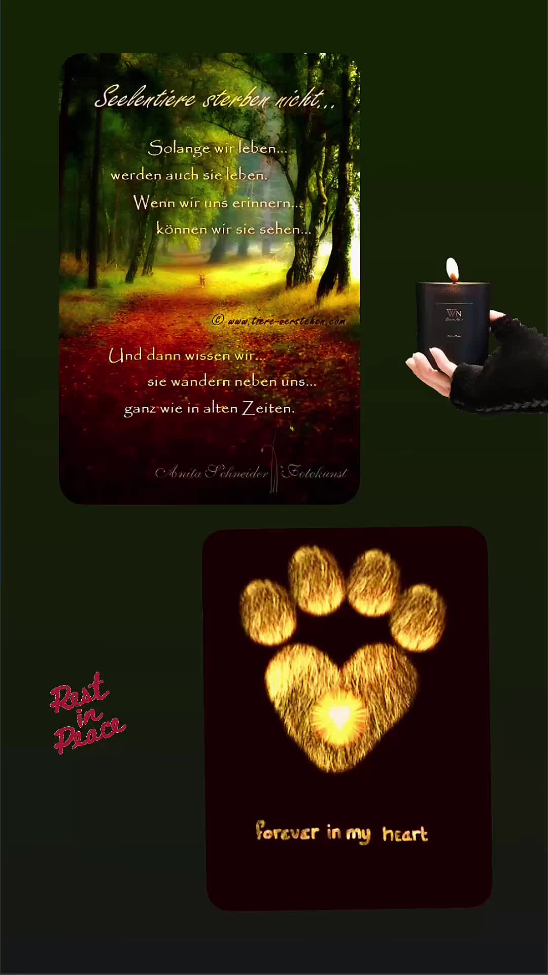 @Gertrud6873