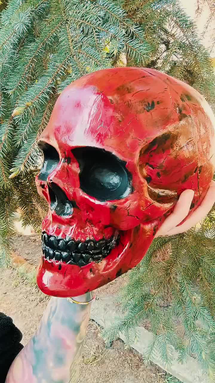 @Lejdi Czacha 💀