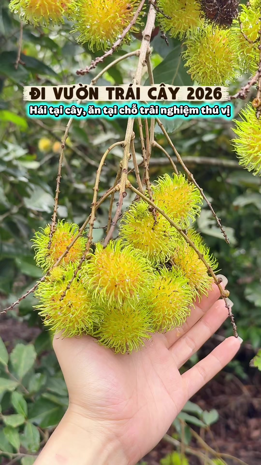 @Bình Dương Ăn Gì