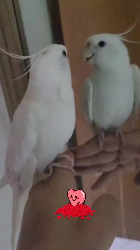 @Eliete José