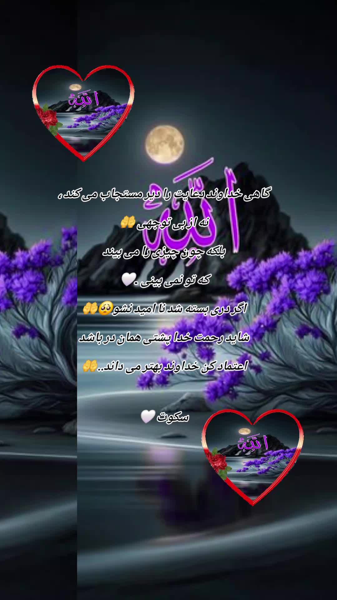 @سکوت 🌺🌺🌺
