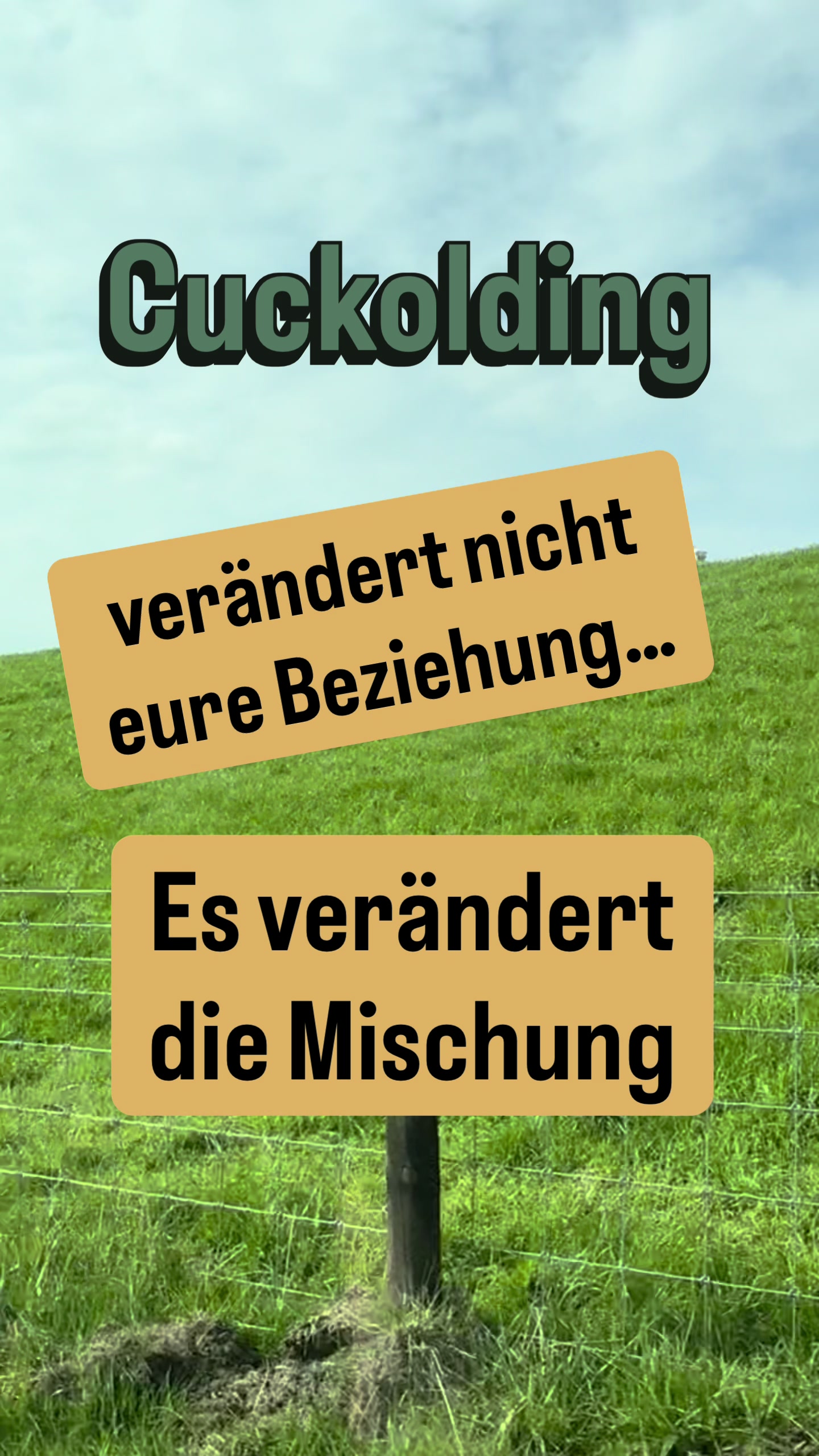 @Plan C - Coaching
