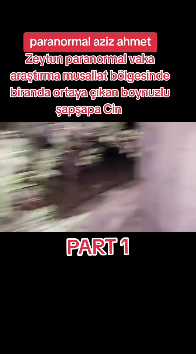 @BilalParanormalHBR
