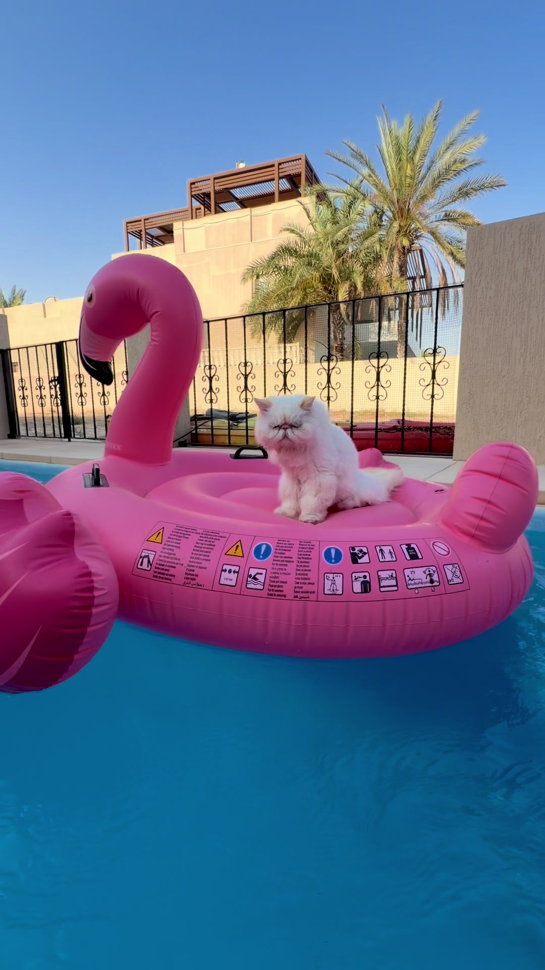@thezenkitty