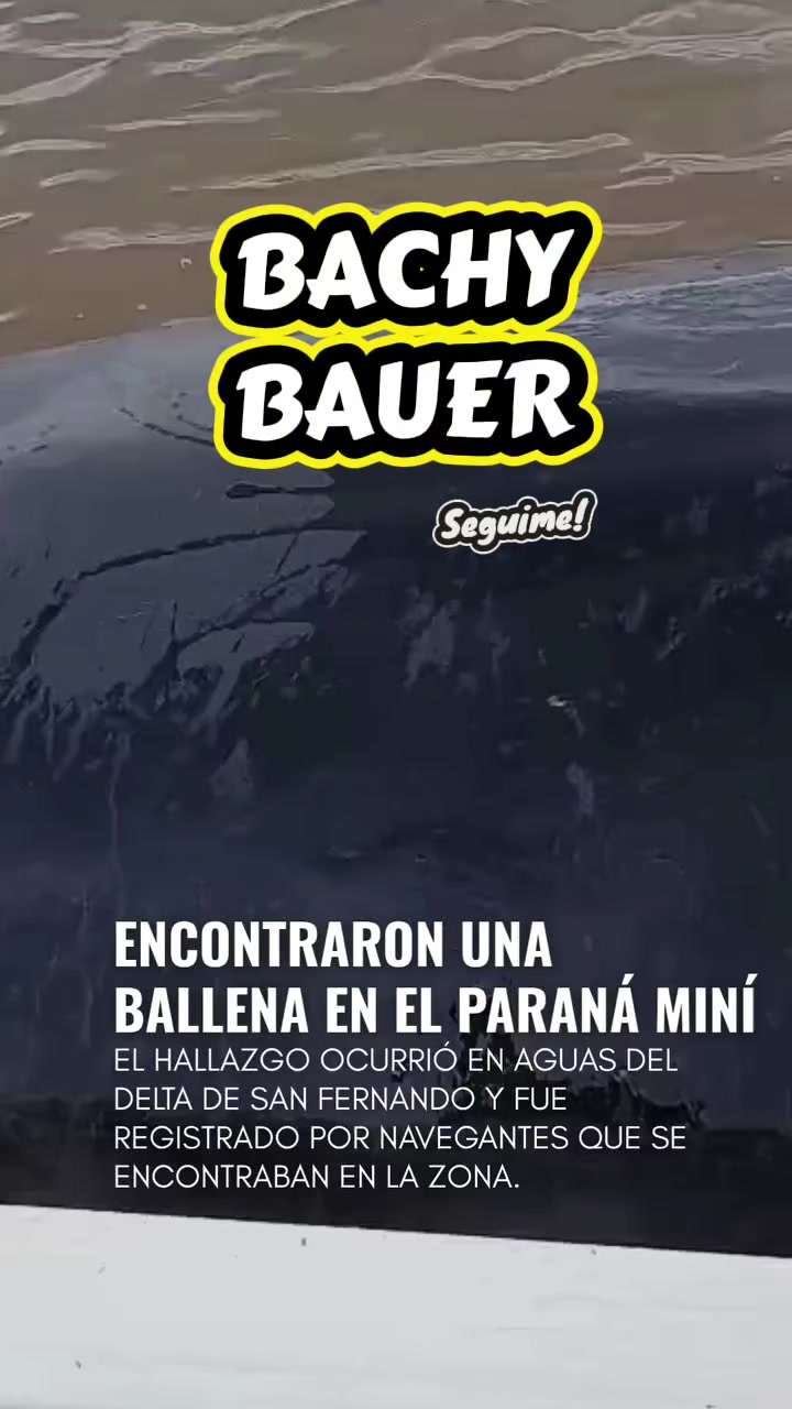 @💖⚡BACHY 💖⚡