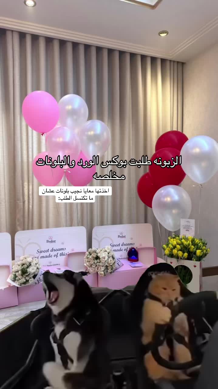 @Bedor&rsquo;s bakery | بدور بيكري