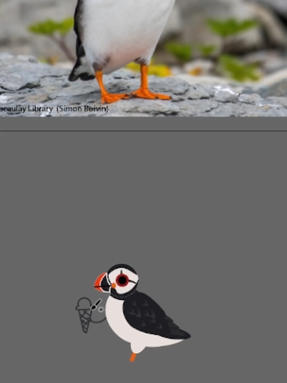 @Flock Around