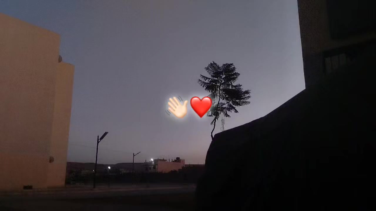 @𝑩𝒐𝒃𝒂🦁🇫🇷❤